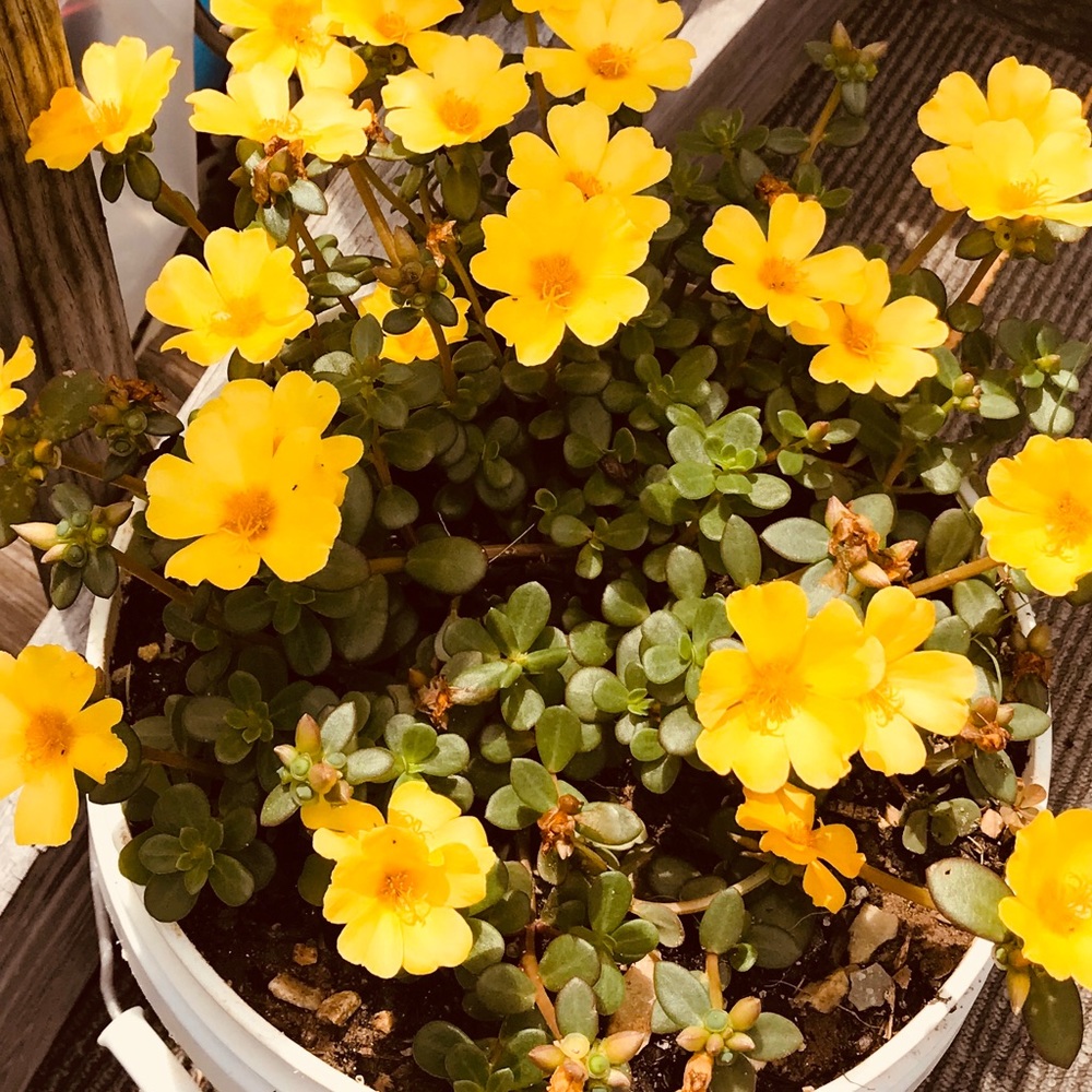 Meet your Posher, Mori